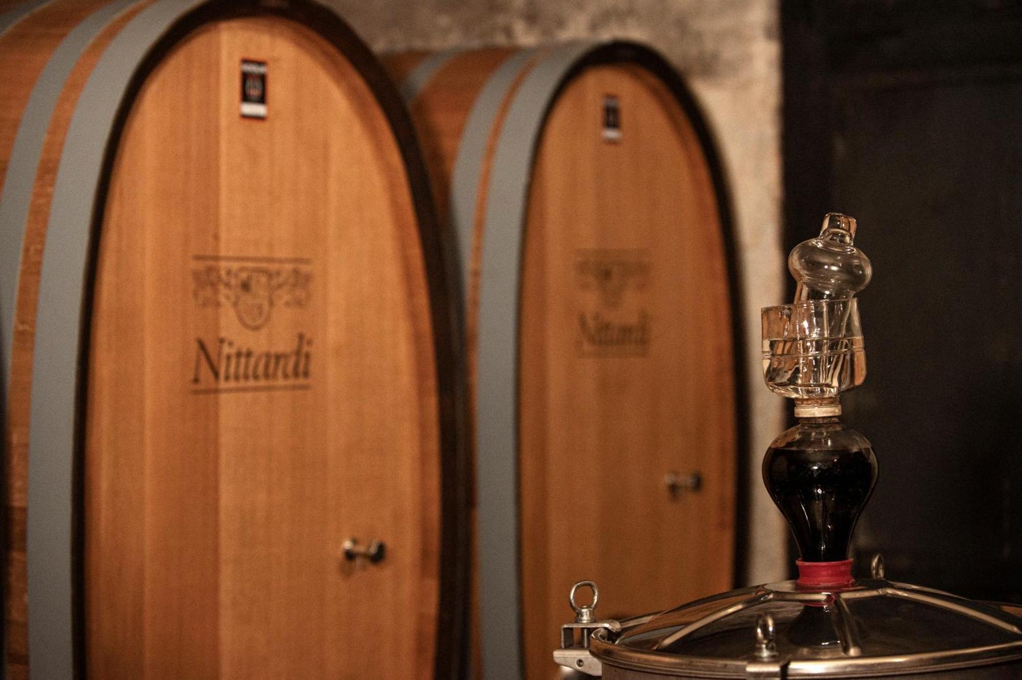 Nittardi Villa Castellina in Chianti Ngoại thất bức ảnh